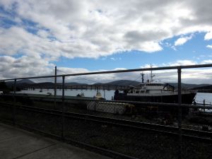 Intercity Cycleway view