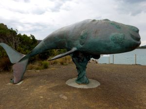 Cockle Creek - (in)famous whale sculpture